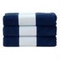 French Navy Colour Sample