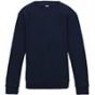 New French Navy Colour Sample