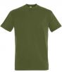 Dark Khaki Colour Sample