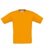 Apricot Colour Sample