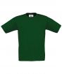 Bottle Green Colour Sample