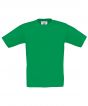 Kelly Green Colour Sample
