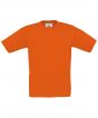 Orange* Colour Sample