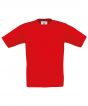 Red* Colour Sample