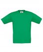 Kelly Green Colour Sample