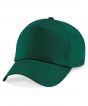 Bottle Green Colour Sample