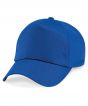 Bright Royal Colour Sample