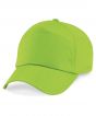 Lime Green Colour Sample