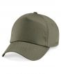 Olive Colour Sample