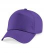 Purple Colour Sample