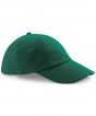 Bottle Green Colour Sample