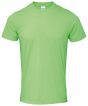 Lime Colour Sample
