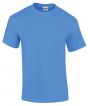 Carolina Blue Colour Sample