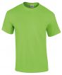 Lime Colour Sample