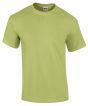 Pistachio Colour Sample