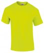 Safety Green* Colour Sample