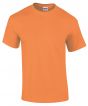 Tangerine Colour Sample