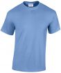 Carolina Blue Colour Sample