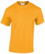 Gold Colour Sample
