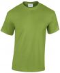 Kiwi Colour Sample