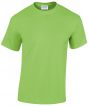 Lime Colour Sample