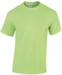 Mint Colour Sample
