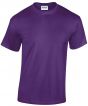 Purple* Colour Sample