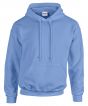 Carolina Blue Colour Sample