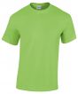 Lime Colour Sample