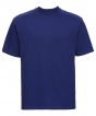 Bright Royal Colour Sample