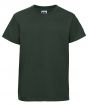 Bottle Green Colour Sample
