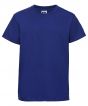 Bright Royal Colour Sample