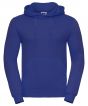 Bright Royal Colour Sample