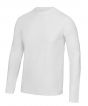 Arctic White Colour Sample
