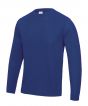 Royal Blue Colour Sample
