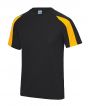 Jet Black/ Gold Colour Sample