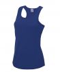 Royal Blue Colour Sample