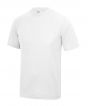 Arctic White Colour Sample