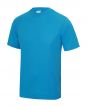 Sapphire Blue Colour Sample