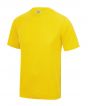 Sun Yellow Colour Sample