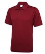 Burgundy Colour Sample