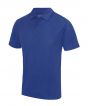 Royal Blue Colour Sample