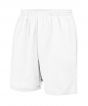 Arctic White Colour Sample