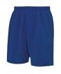 Royal Blue Colour Sample
