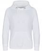 Arctic White Colour Sample