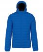 Royal Blue Colour Sample