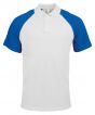 White/ Light Grey/ Royal Colour Sample
