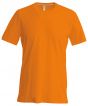Orange Colour Sample