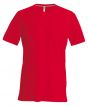 Red Colour Sample