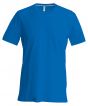 Royal Blue Colour Sample